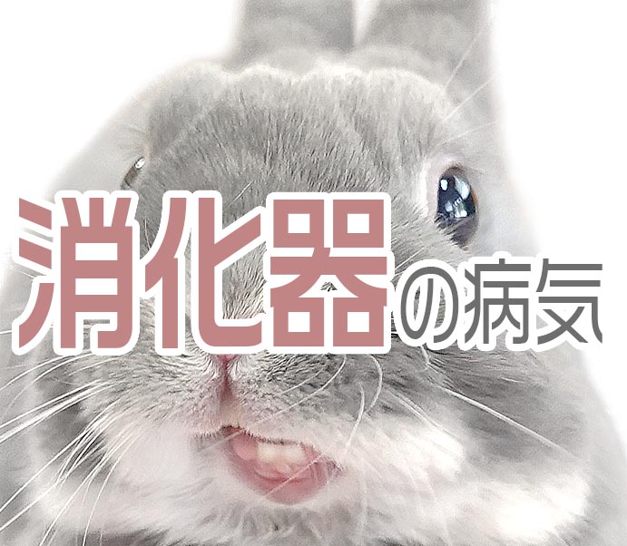 消化器の病気