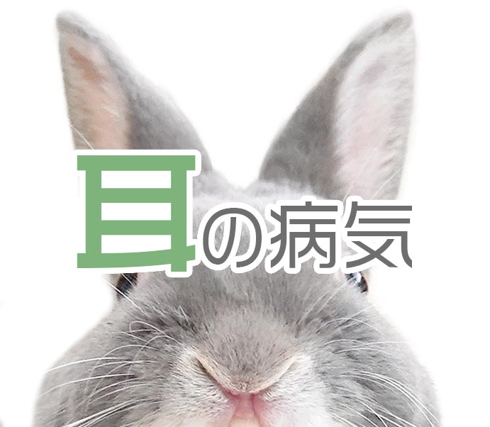耳の病気