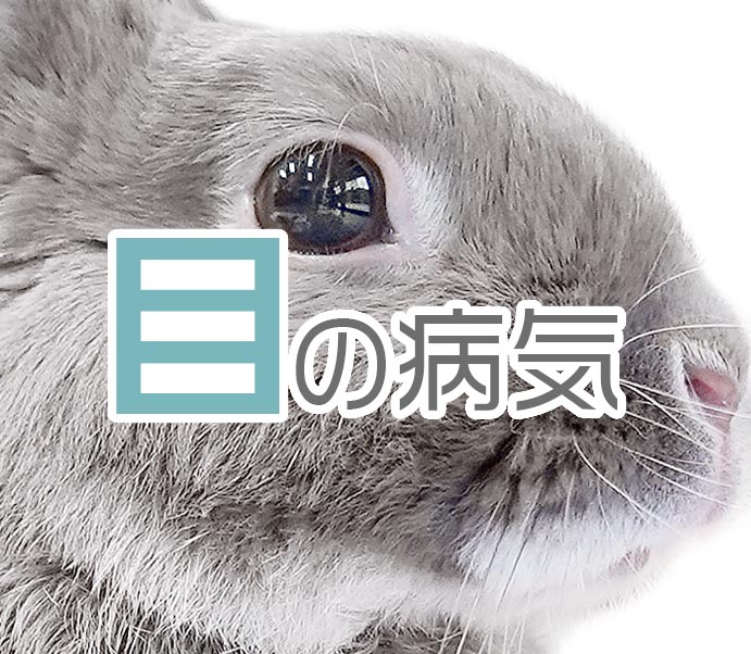目の病気