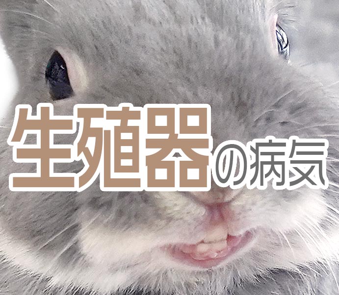 生殖器の病気