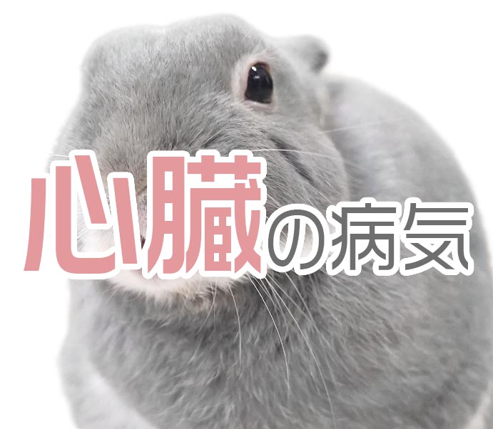 心臓の病気