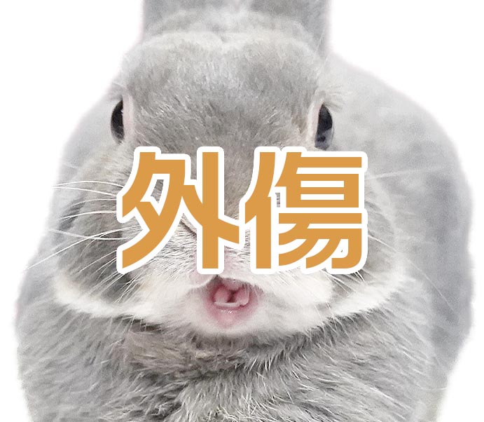 外傷