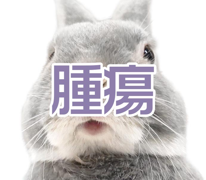 腫瘍