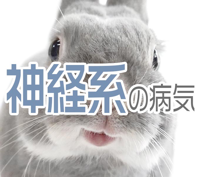 神経系の病気