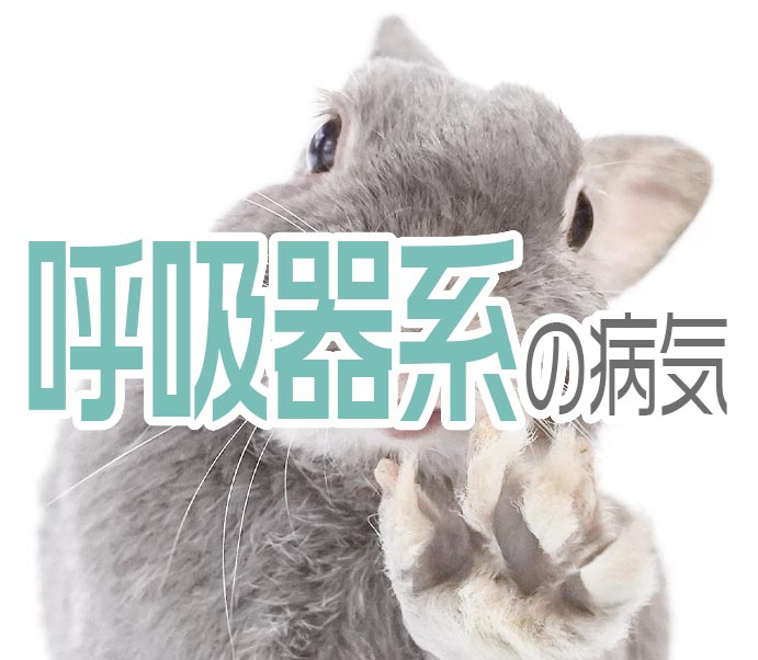 呼吸器系の病気