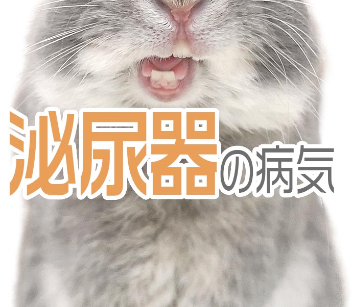 泌尿器の病気